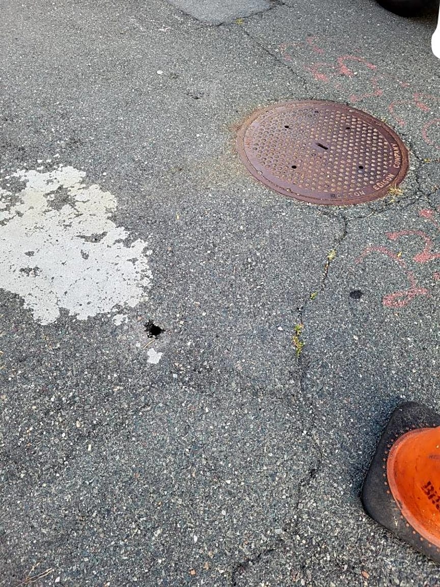 Image submitted with report