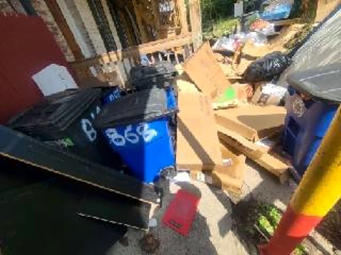 Image submitted with report