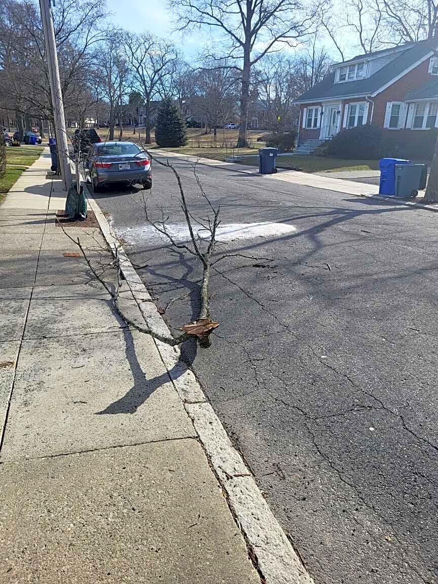 Boston