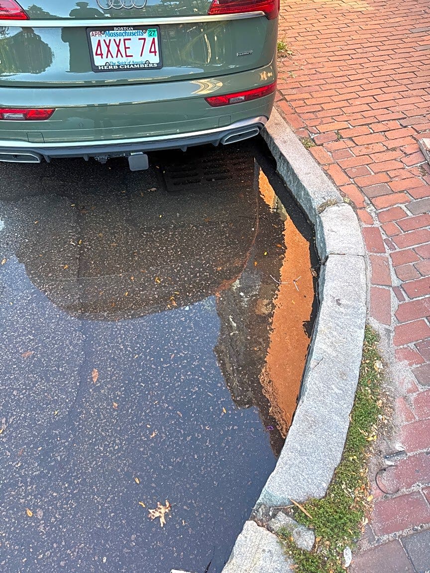 Image submitted with report