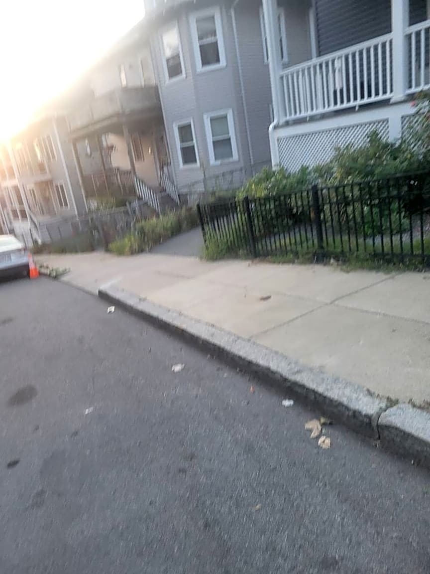 Image submitted with report