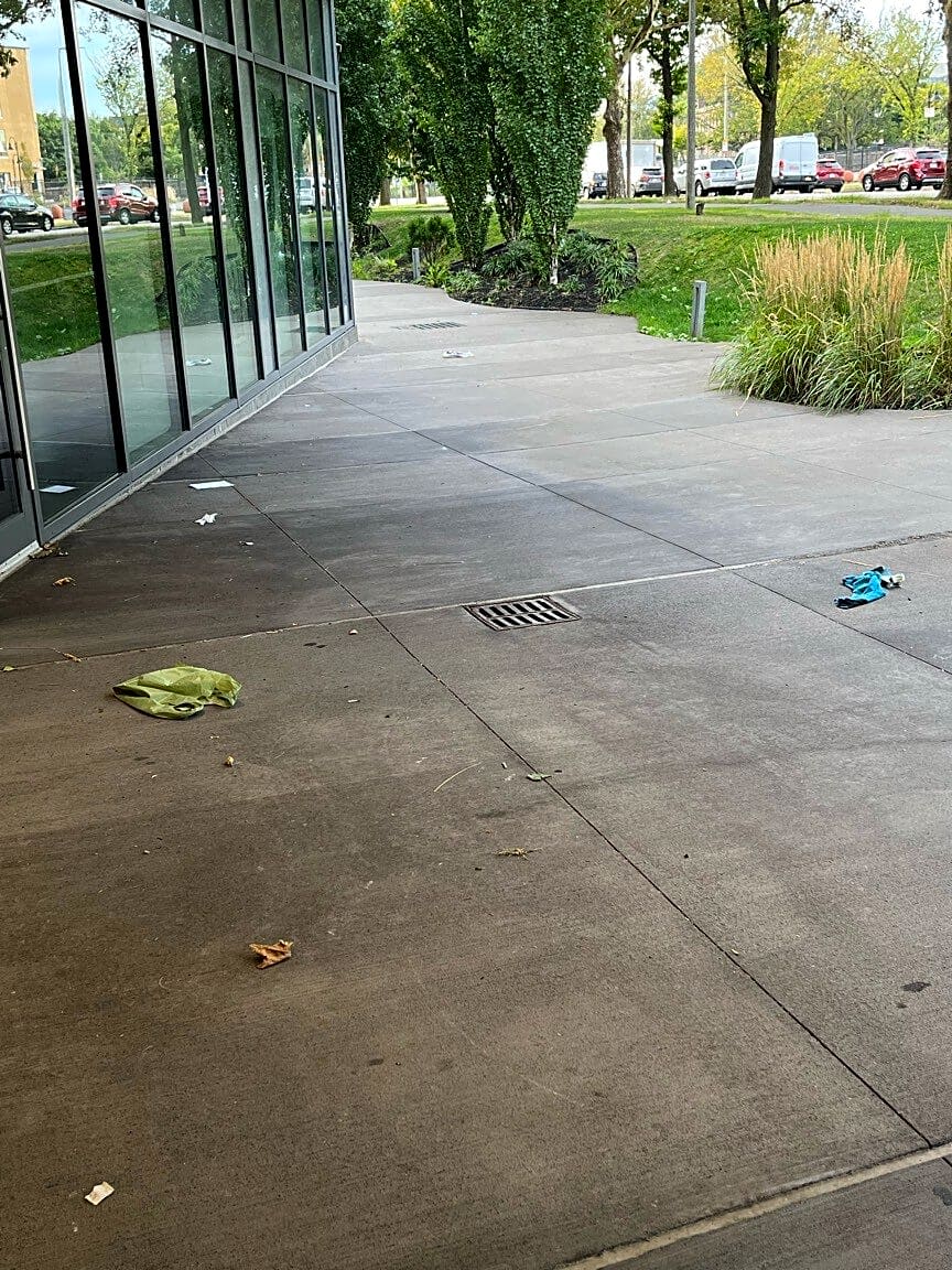 Image submitted with report