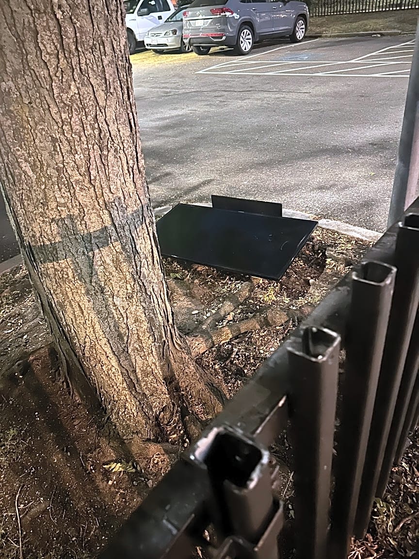 Image submitted with report